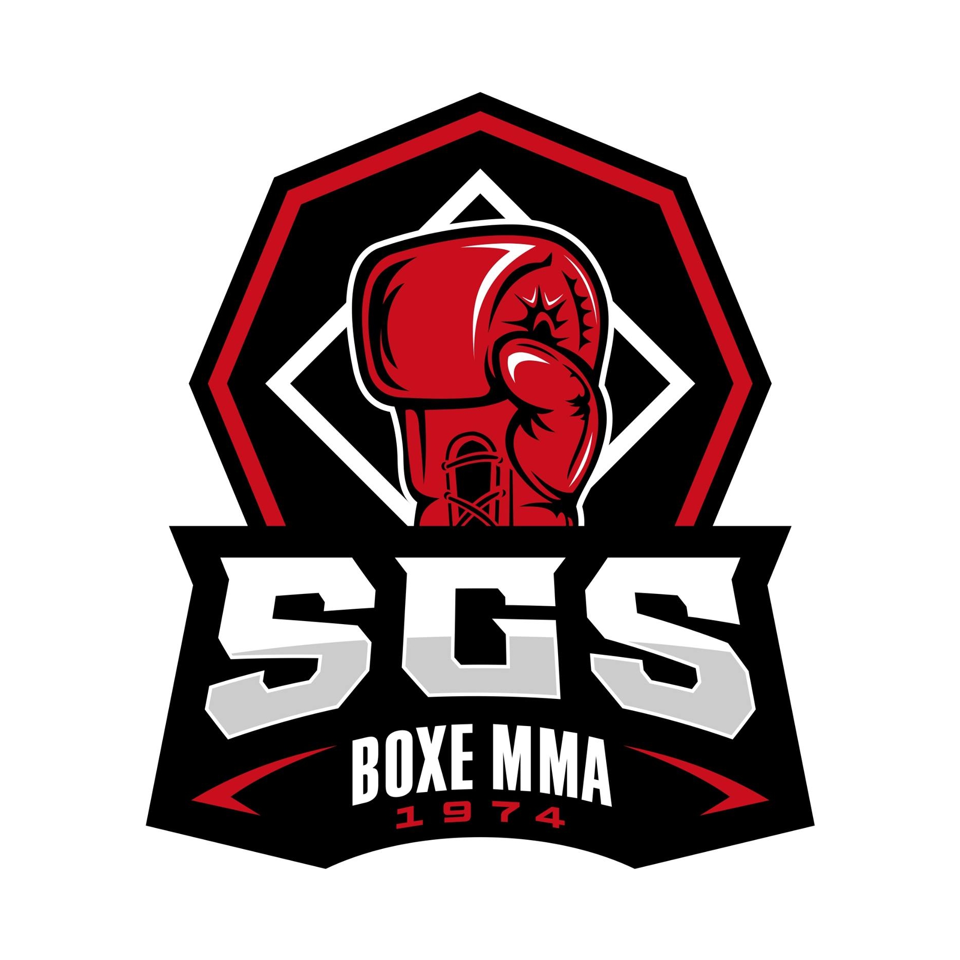 SGS MMA Boxe