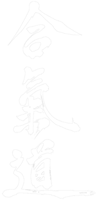 E.P.P.G. SECTION AIKIDO