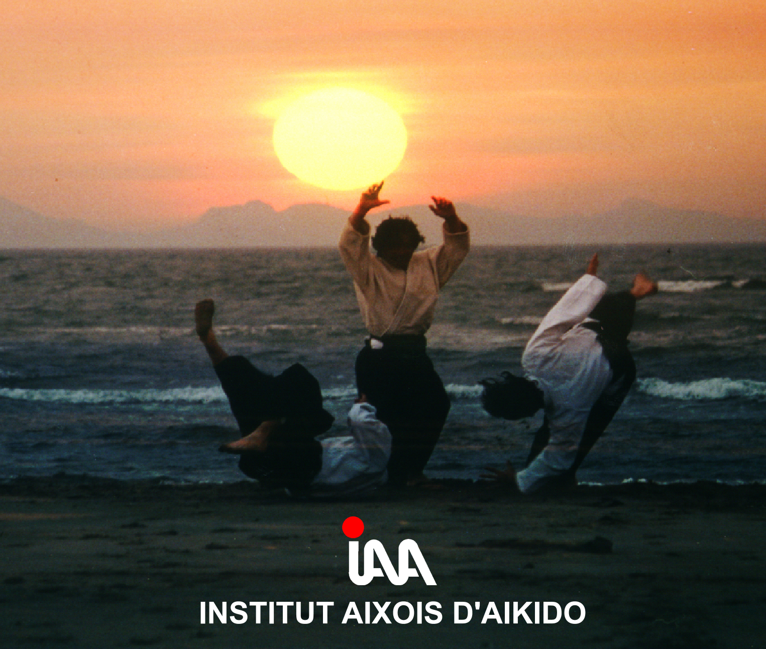 INSTITUT AIXOIS D'AIKIDO