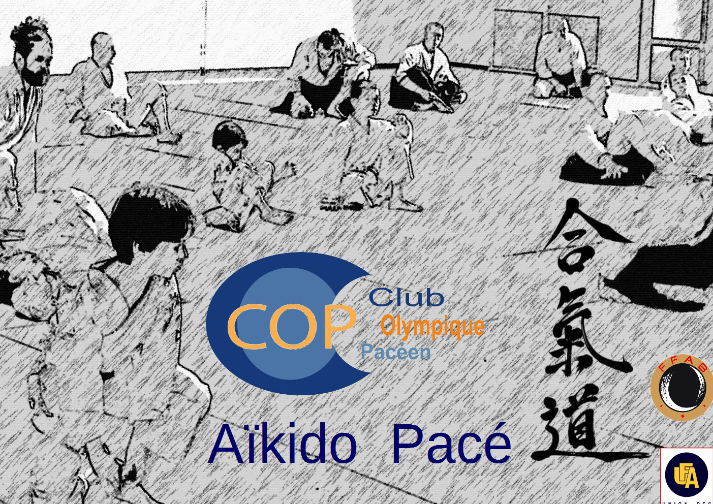 COP AIKIDO