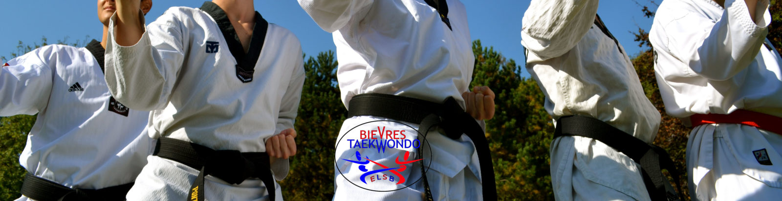 TAEKWONDO BIEVRES