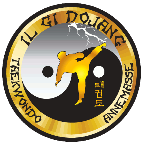 Il Gi Dojang Annemasse