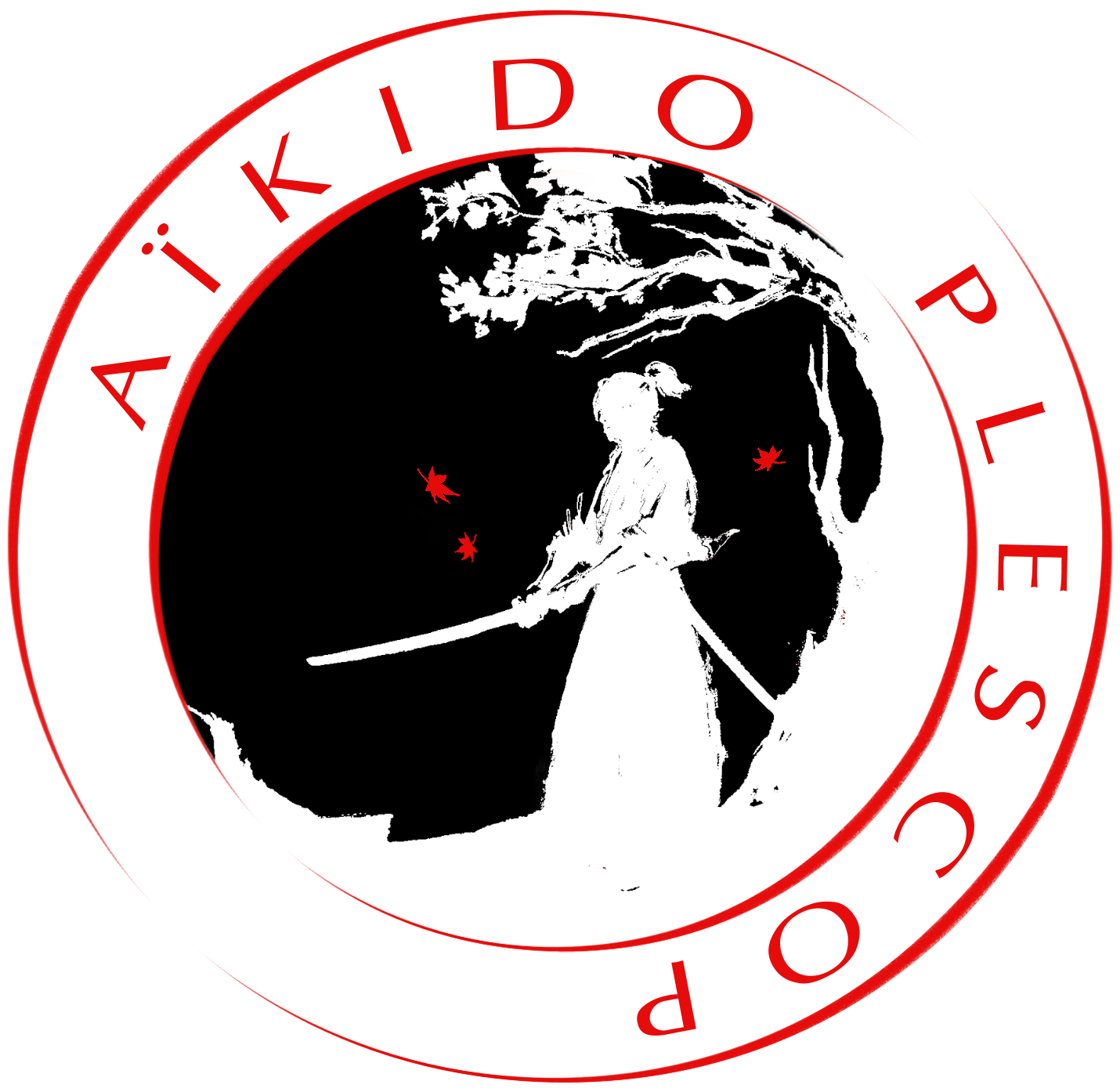 AIKIDO CLUB PLESCOP VANNES