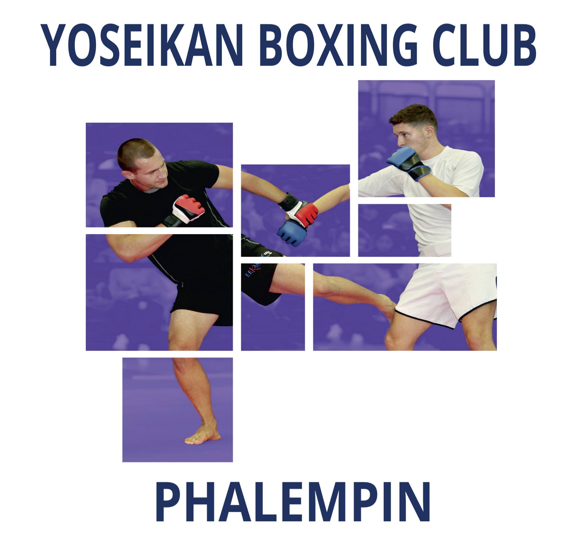 Yoseikan Boxing Club Phalempin